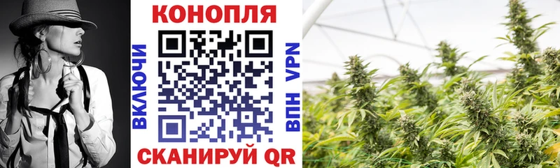 Конопля ГИДРОПОН  где можно купить   Куртамыш 